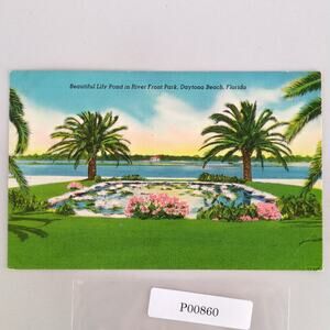Beautiful Lily Pond River Front Park Daytona Beach Florida 1940s Linen Postcard